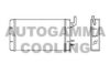 AUTOGAMMA 101784 Heat Exchanger, interior heating